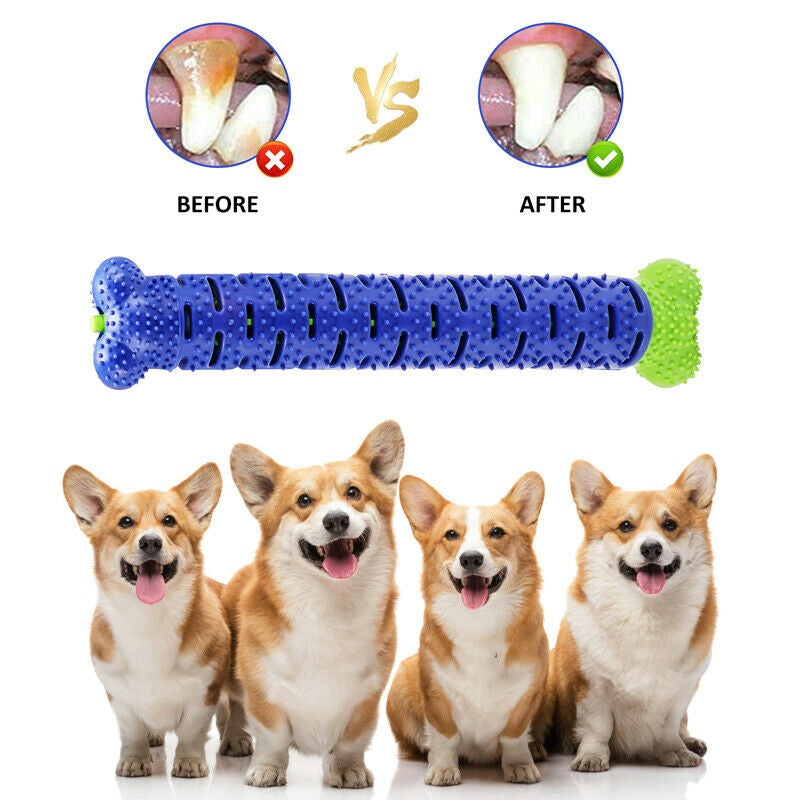 Dog Chew Toothbrush Toy