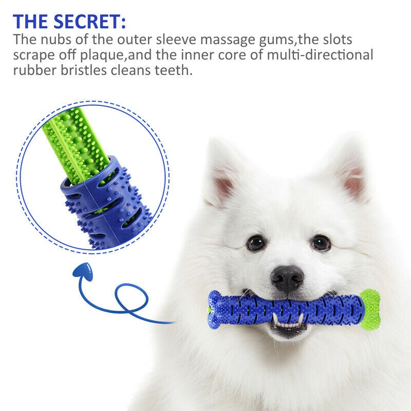 Dog Chew Toothbrush Toy