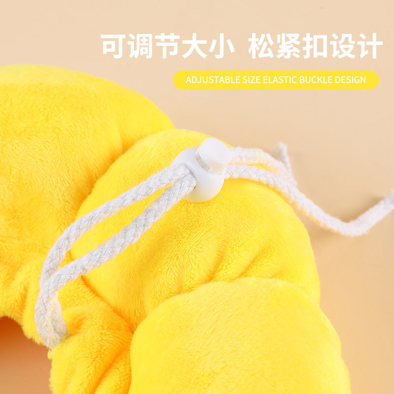 Protective Elizabethan Cone for Surgery