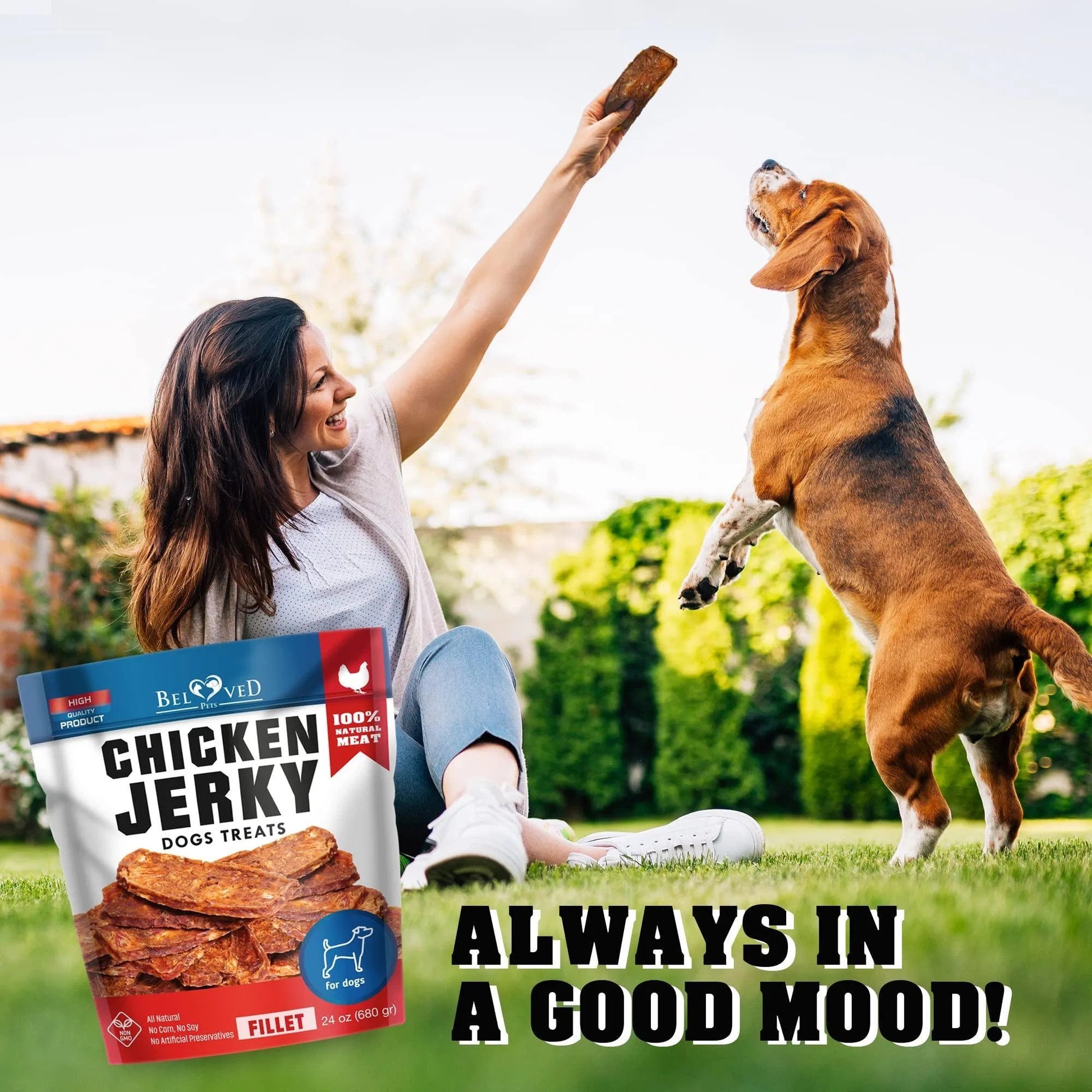 Chicken Jerky Dog Treats 1.5 lb