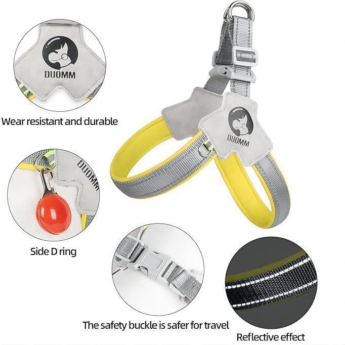 Adjustable No-Pull Pet Harness with Leather Leash