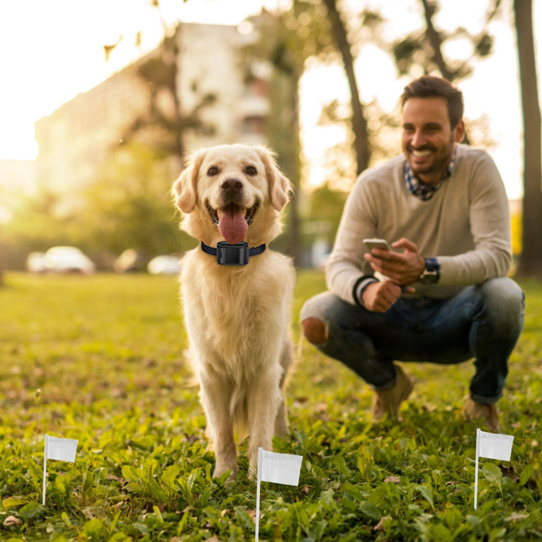 Electric Dog Fence System with Tone & Shock