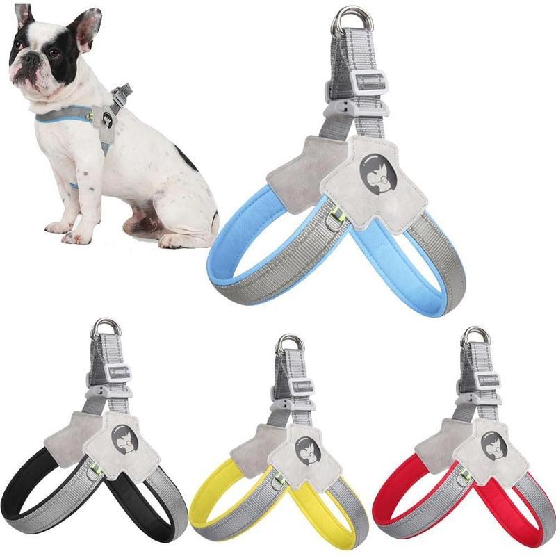 Adjustable No-Pull Pet Harness with Leather Leash