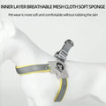 Adjustable No-Pull Pet Harness with Leather Leash