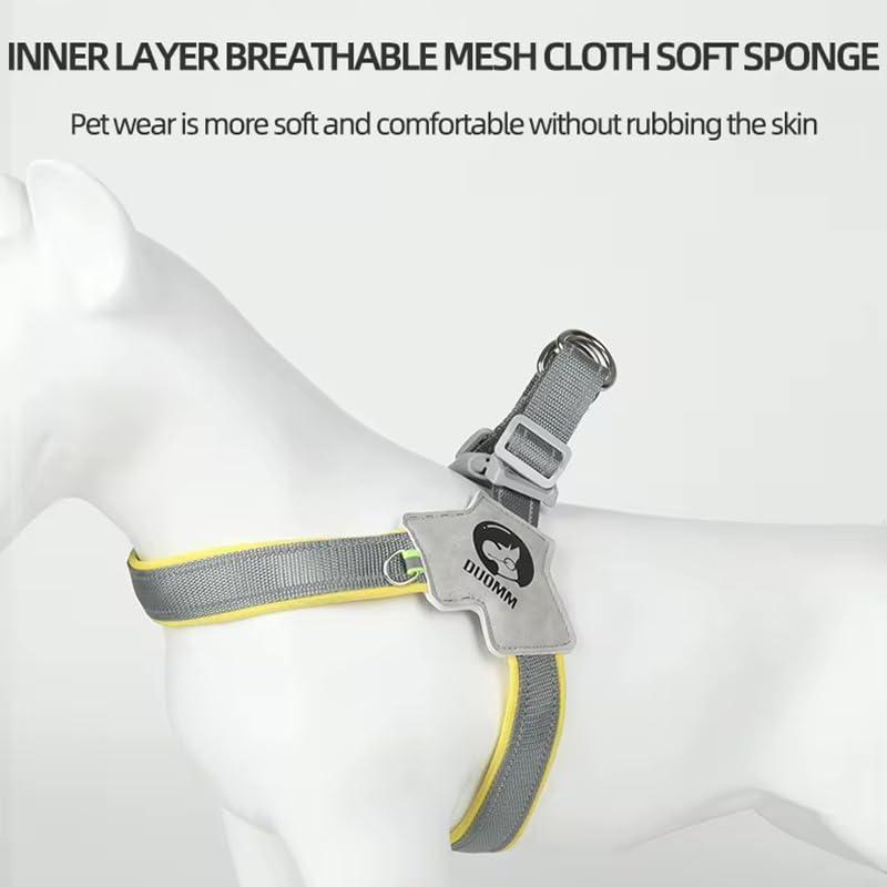 Adjustable No-Pull Pet Harness with Leather Leash