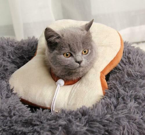 Adjustable Soft Cat Recovery Collar
