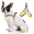 Adjustable No-Pull Pet Harness with Leather Leash