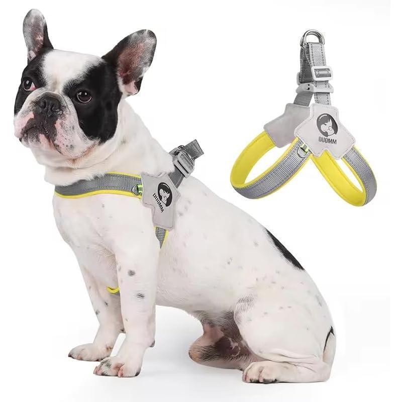Adjustable No-Pull Pet Harness with Leather Leash