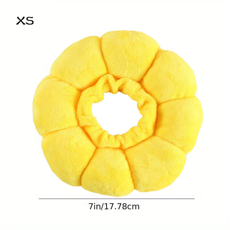 Protective Elizabethan Cone for Surgery