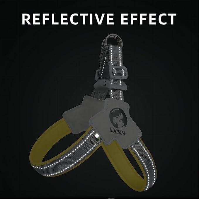 Adjustable No-Pull Pet Harness with Leather Leash