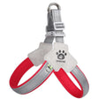 Adjustable No-Pull Pet Harness with Leather Leash