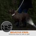 Hands-Free Dog Leash with Waist Belt