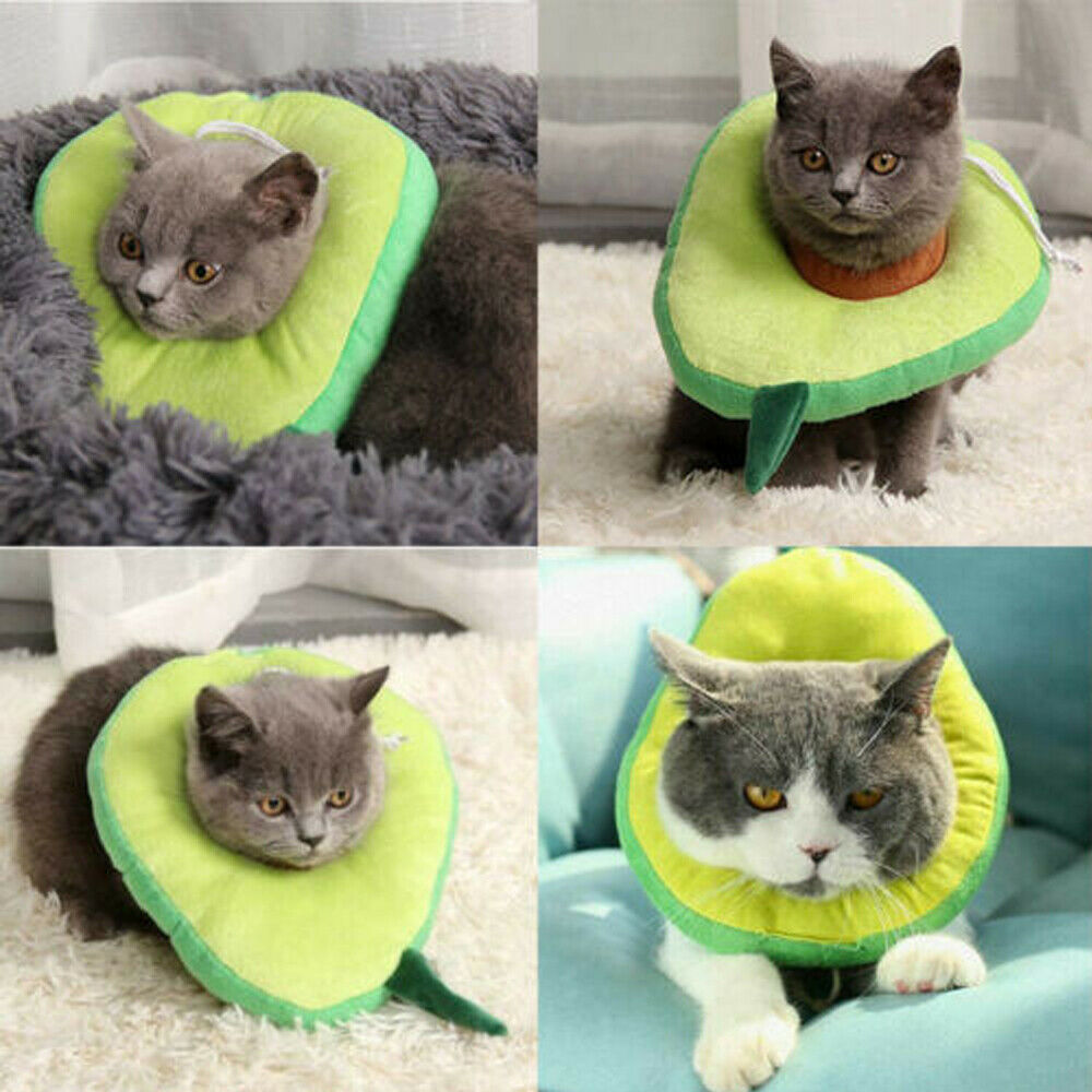 Adjustable Soft Cat Recovery Collar
