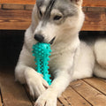 Rubber Chew Toys for Aggressive Dogs